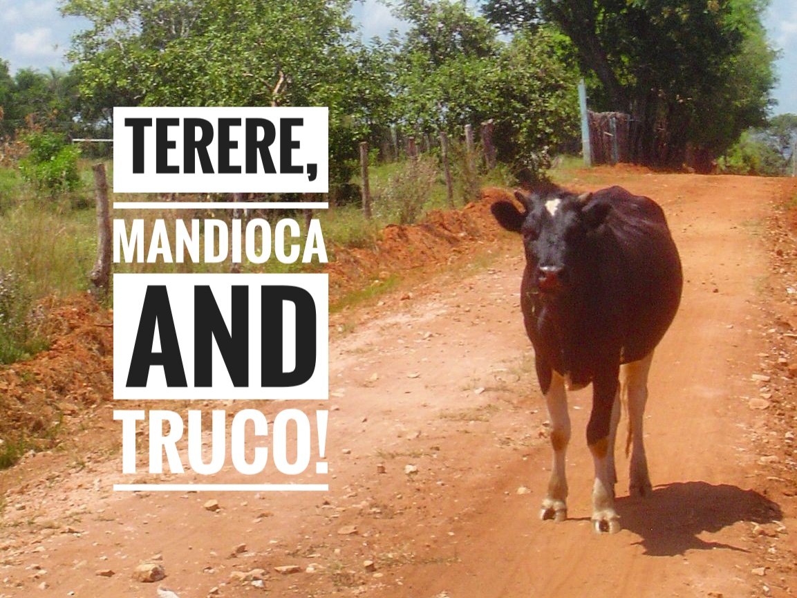 Terere, Mandioca and Truco!