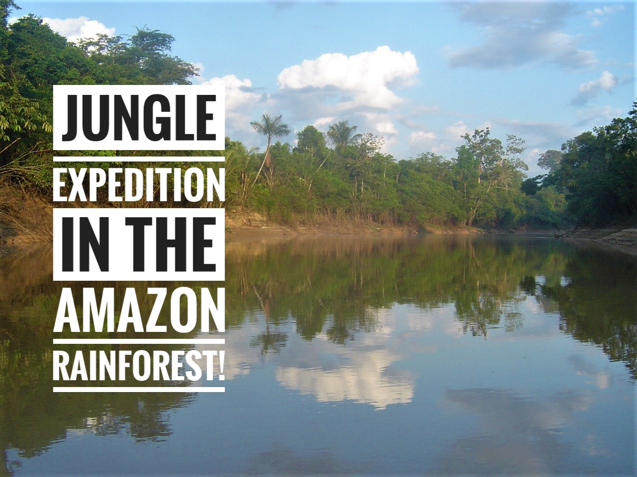 Jungle Expedition in the Amazon Rainforest!