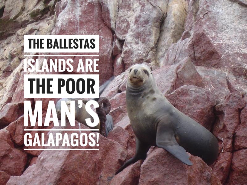 The arches & rock formations of the Ballestas Islands are out of this world! So are the thousands of birds, sea lions & other wildlife that surround you! The Poor Mans Galapagos on the Peruvian coast of Pisco & Paracas are one of the Treasures Of Traveling in Peru!