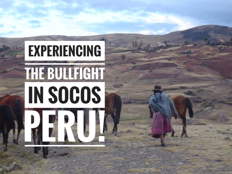 Have you experienced a bull fight before? This was my first experience and this Peruvian Bullfight in the small town of Socos, high in the Andes Mountains of Peru is much different than the bull fights of Spain!
