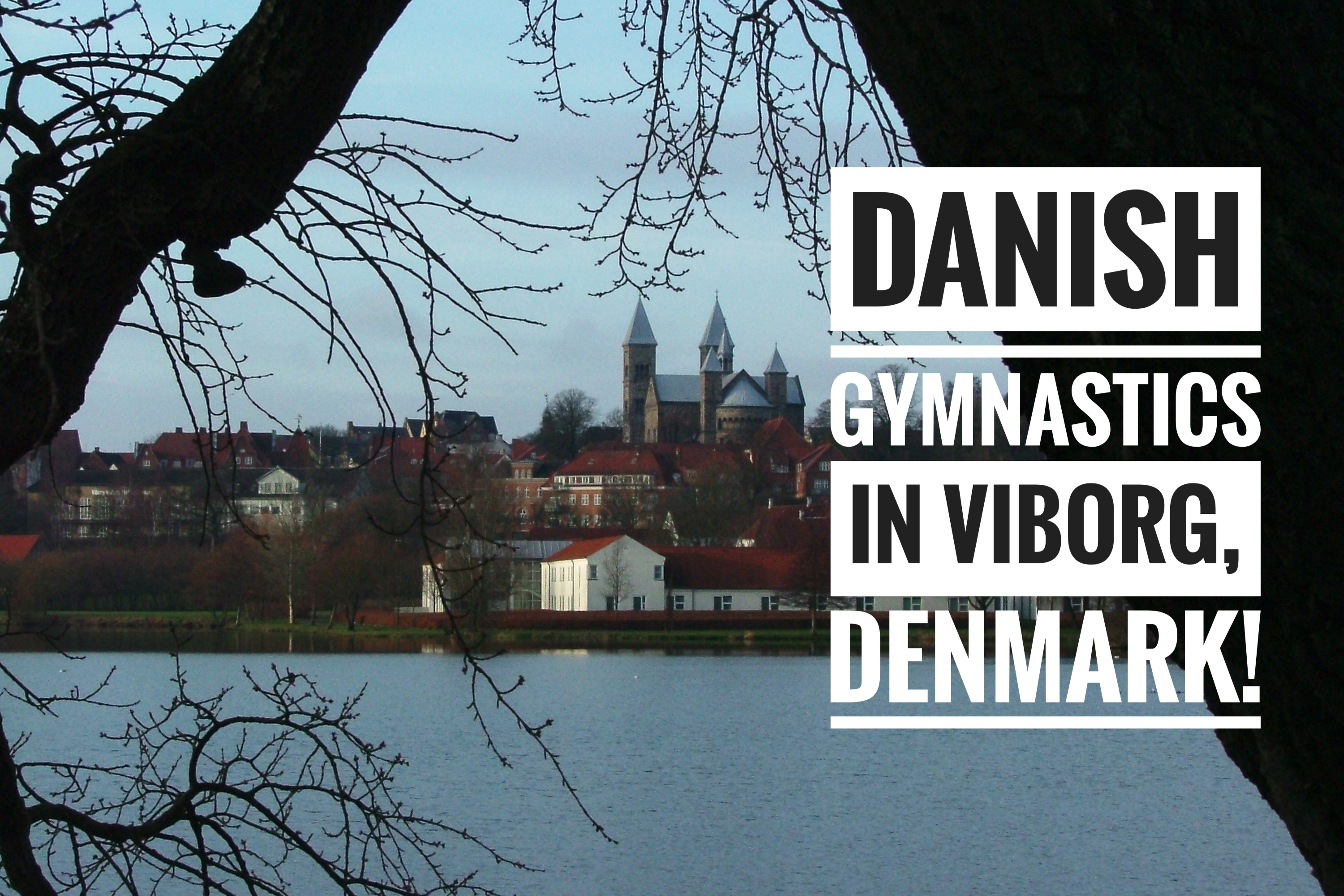 Danish Gymnastics in Viborg, Denmark!